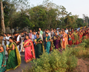 Mega procession welcomes flag-hoisting pole at Veerabhadra Temple, Hiriyadka